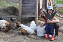 Esther et Laurent chez les poules